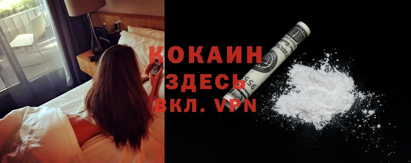 Cocaine Fish Scale  купить наркотики сайты  Горнозаводск 